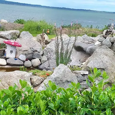 rocks